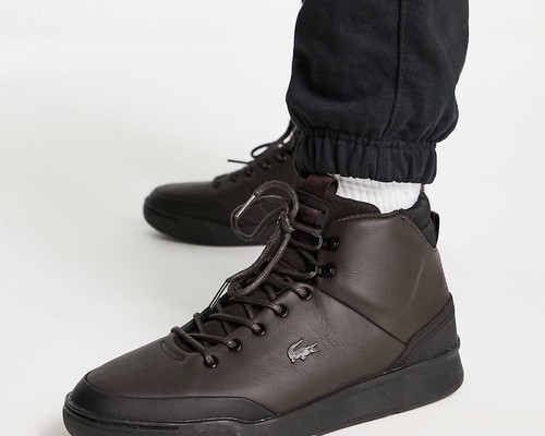 Lacoste sneaker dunkelbraun - sneaker, in