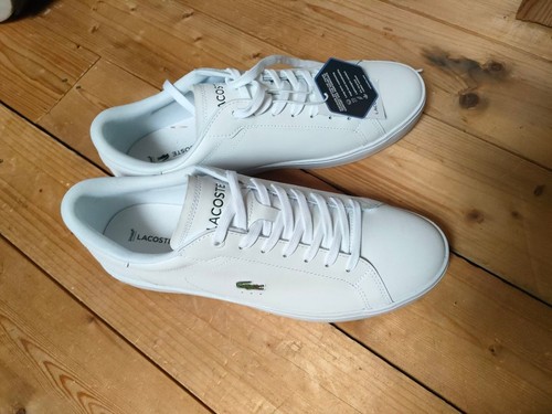 Lacoste herren sneaker neu - sneaker,