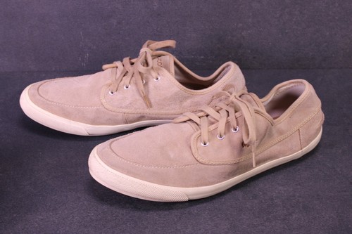 Lacoste sneaker pedley - lacoste,