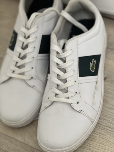 Lacoste europa low top sneaker - lacoste,