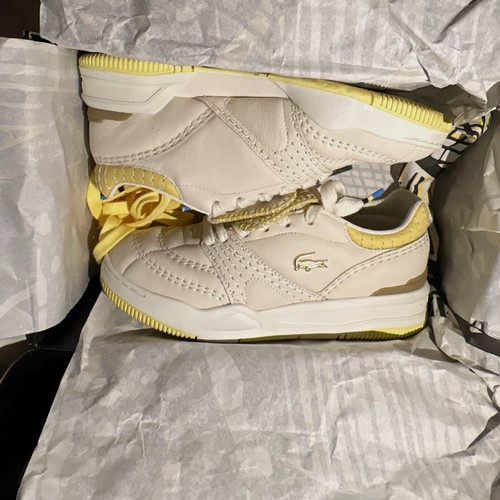 Lacoste linefield low top - lacoste,