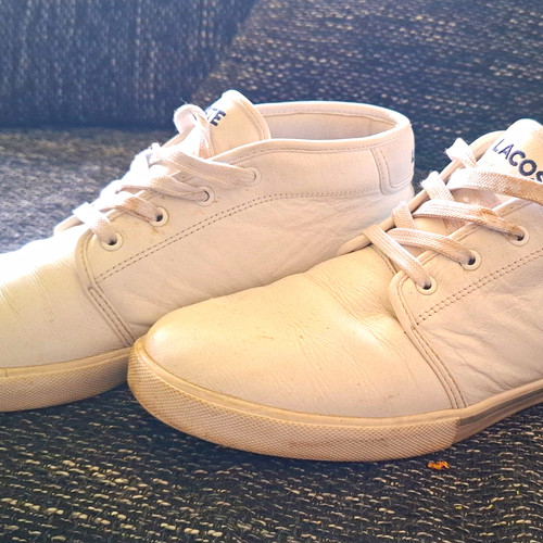 Lacoste ampthill herren - lacoste,